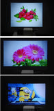 Salange YG300 Mini LED Projector
